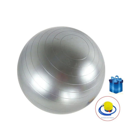 swiss ball grise sur fond blanc